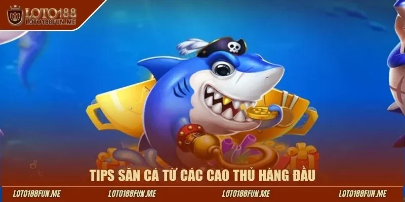 Tips săn cá từ các cao thủ hàng đầu Loto188