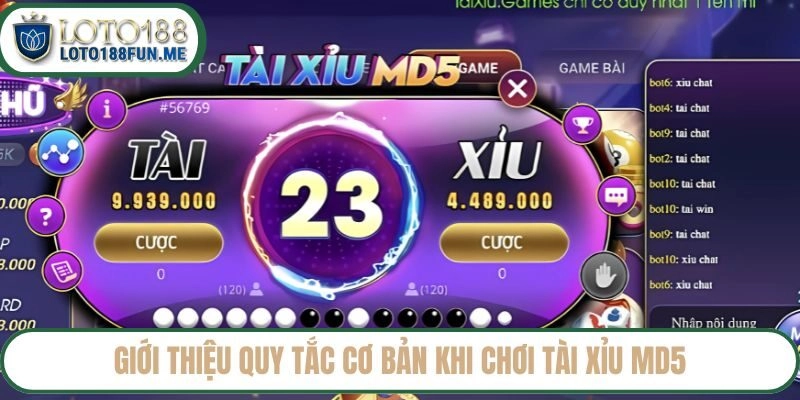 Giới thiệu quy tắc cơ bản khi chơi tài xỉu MD5 tại Loto188